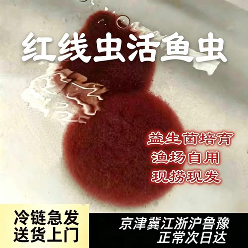 观赏鱼苗开口育苗发色高蛋白活饵