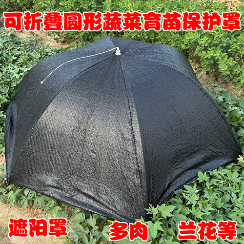黑色可折叠蔬菜育苗遮阳网防雨