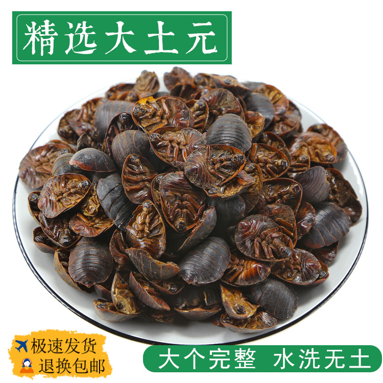 土元中药材中华土元虫土元粉土元干土鳖虫接骨正品节节虫地鳖虫 传统滋补营养品 其他药食同源食品 原图主图