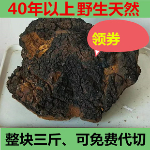 桦树茸俄罗斯华树茸进口野生桦褐孔菌40年白桦茸大块整块华树榕蓉