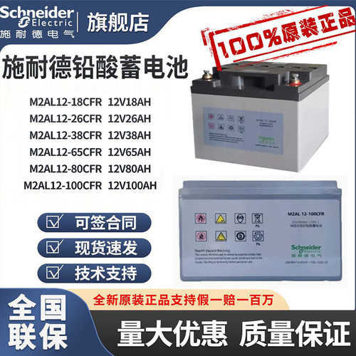 APC施耐德蓄电池12V18AH-100AH