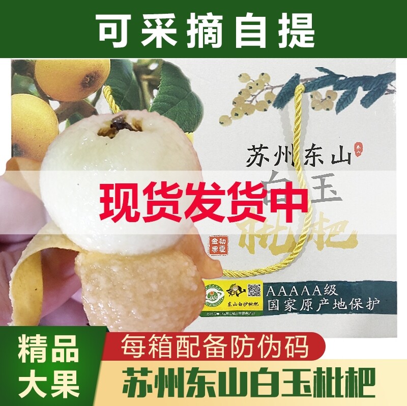 2026苏州东山白玉白沙枇杷果新鲜水果孕妇水果琵琶鲜果大果礼盒装