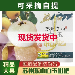 2026苏州东山白玉白沙枇杷果新鲜水果孕妇水果琵琶鲜果大果礼盒装