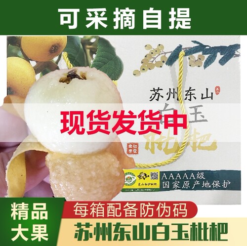 正宗苏州东山白玉枇杷果白沙枇杷
