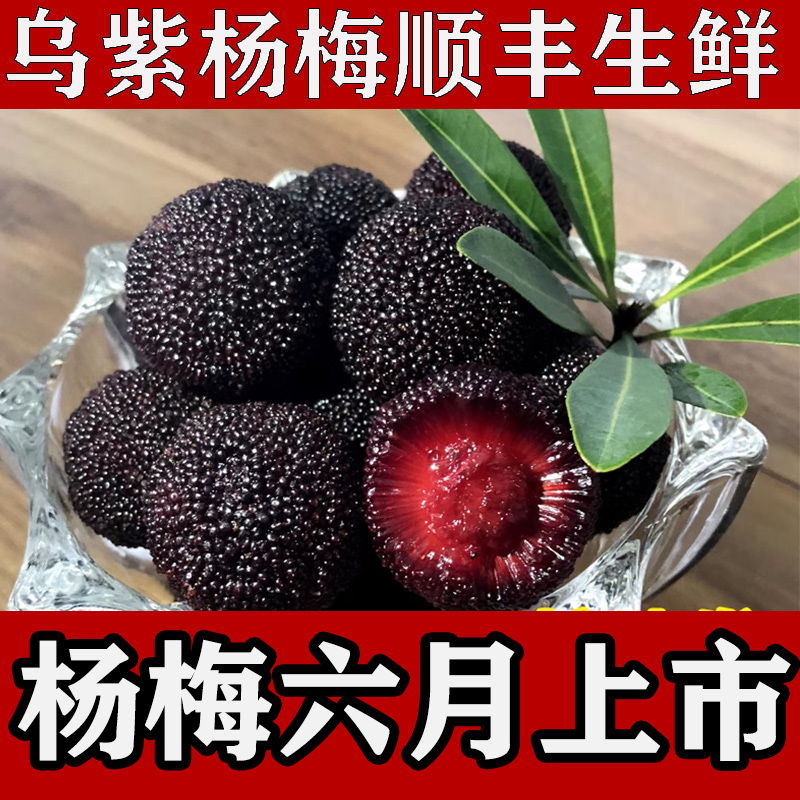 东山乌紫杨梅新鲜水果一口爆汁