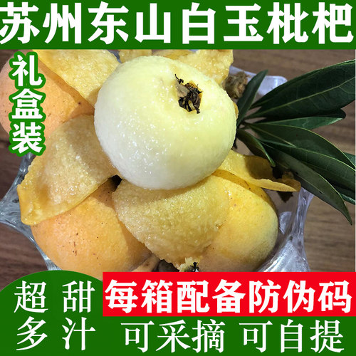 正宗苏州东山白玉枇杷果白沙枇杷