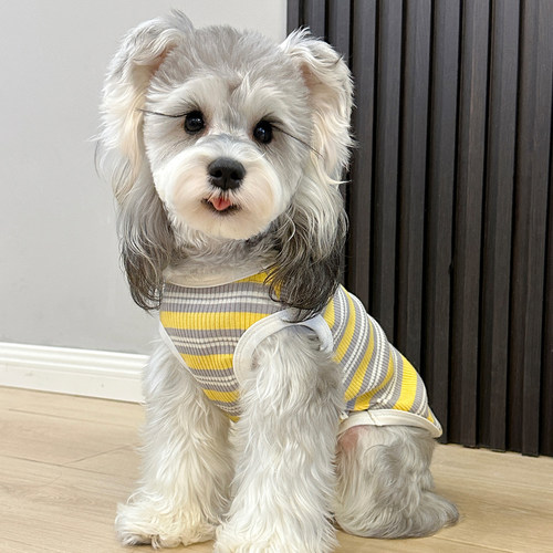 雪纳瑞酷酷的潮牌背心支持定制