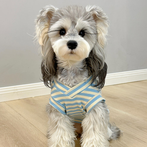 设计师款式V领背心夏季柔软舒服