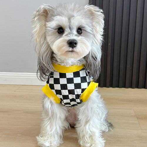 雪纳瑞酷酷的潮牌背心