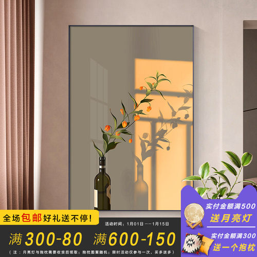 光影植物治愈系沙发背景墙挂画 画入户北欧静物艺术卧室装饰画 画