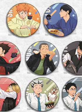 动漫 排球少年 吉祥物日向翔阳影山研磨木兔徽章吧唧胸章马口铁谷