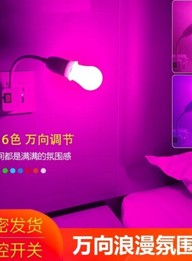led七彩遥控可调变光灯夫妻
