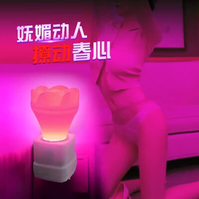 情侣行房小夜灯卧室床头台灯浪漫藤条夜灯红色夜光灯氛围柔光睡眠