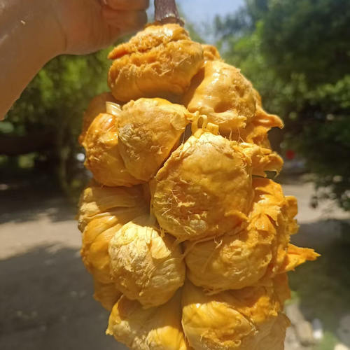 海南热带水果榴莲蜜香甜可口