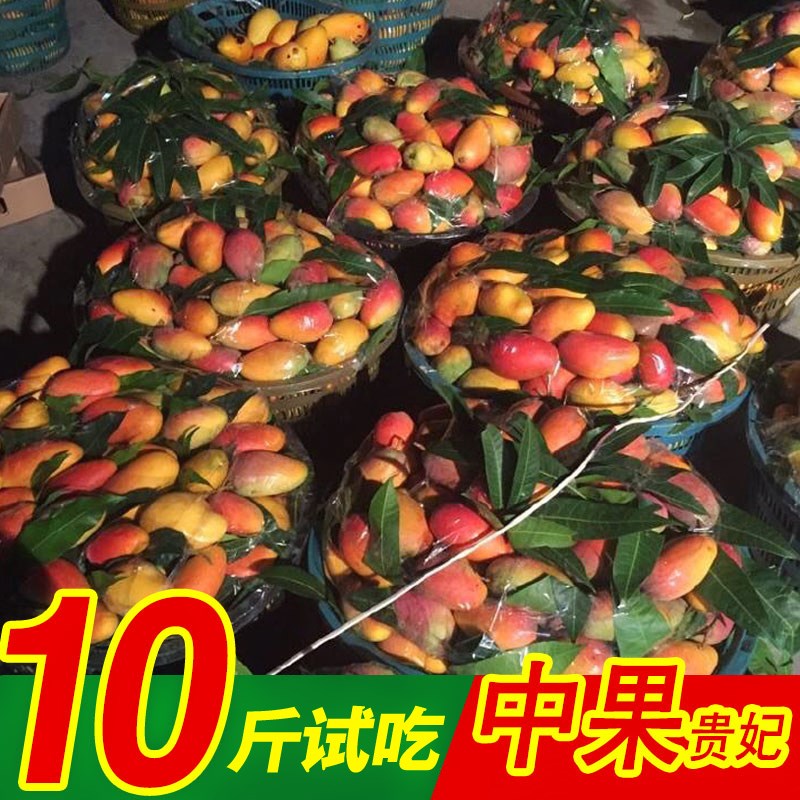 廣西貴妃芒10斤包郵整箱芒果新鮮現摘當季水果批發非大青芒小臺芒