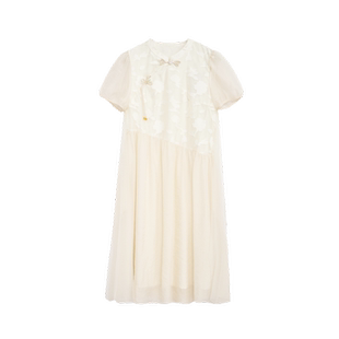 紫涵禅意新中式网纱连衣裙女夏季新款立领斜襟盘扣绣花a字中长裙