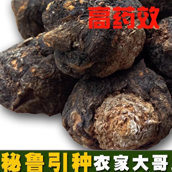特级特大黑玛卡干果一个30克以上不切片