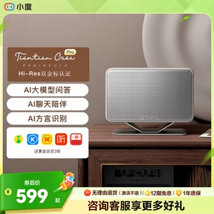 小度Tiantian PENINSULA半岛蓝牙音响音箱送礼生日礼物礼品 Casa