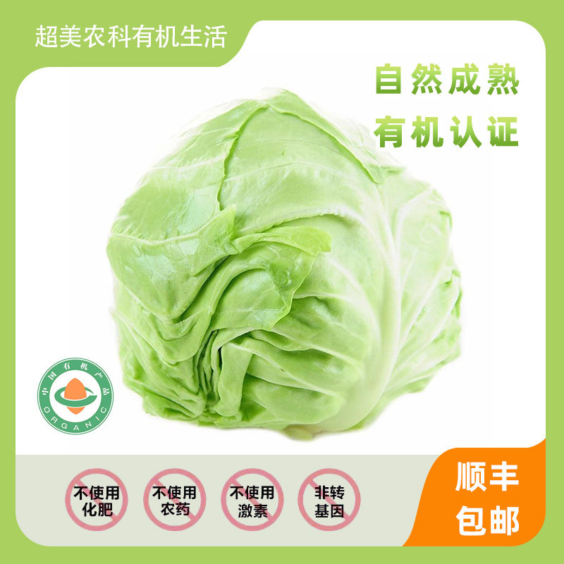 超美农科有机种植绿甘蓝5斤新鲜蔬菜有机认证美味健康辅食沙拉