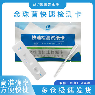 鹦鹉检测卡试纸鸽子衣原体沙门氏菌毛滴虫支原体大肠杆菌念珠菌