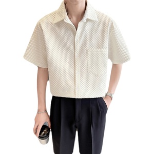 青年男生夏季流行宽松短袖衬衣轻熟风高品质抖音直播上衣8817-P58图片