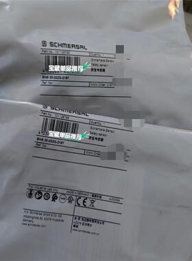 BNS 33-02ZG-2187 安全传感器 德国Schme