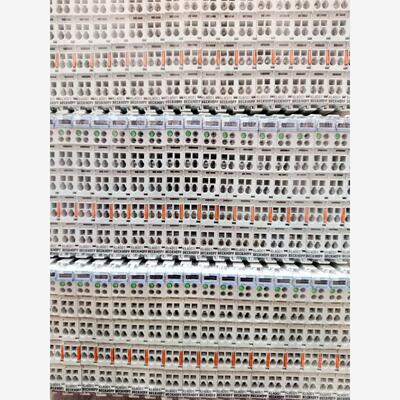 倍福拆机模块KL4001，成色漂亮可以带包装发货，标价是单价议价