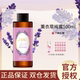 伊帕尔汗薰衣草纯露500ml喷雾保湿 爽肤水补水花水面部护肤官方