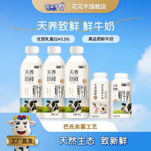 花花牛旗舰店巴氏杀菌鲜奶天养致鲜750g瓶装纯牛奶早餐奶