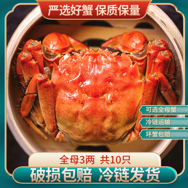 活蟹10只大闸蟹3两全母