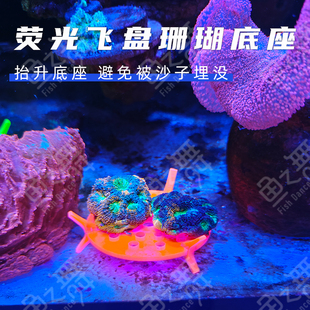 荧光珊瑚底座脑珊瑚基座海缸飞盘支架断枝海水造景托架可移动空间