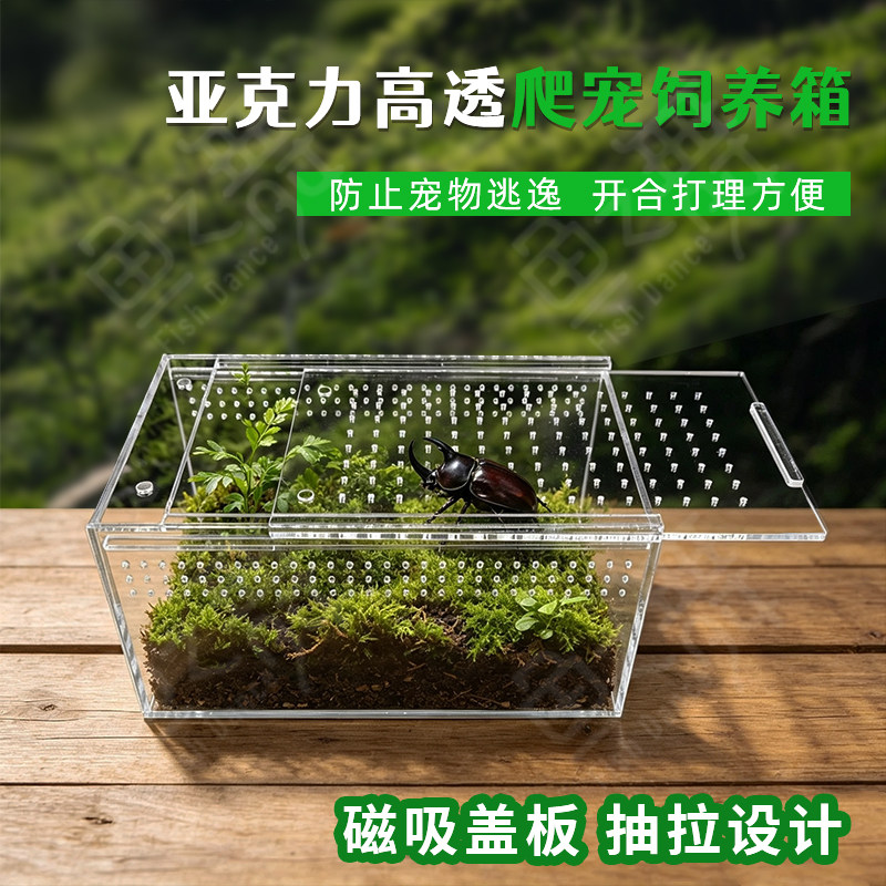 亚克力透明可视防逃爬宠饲养缸图片