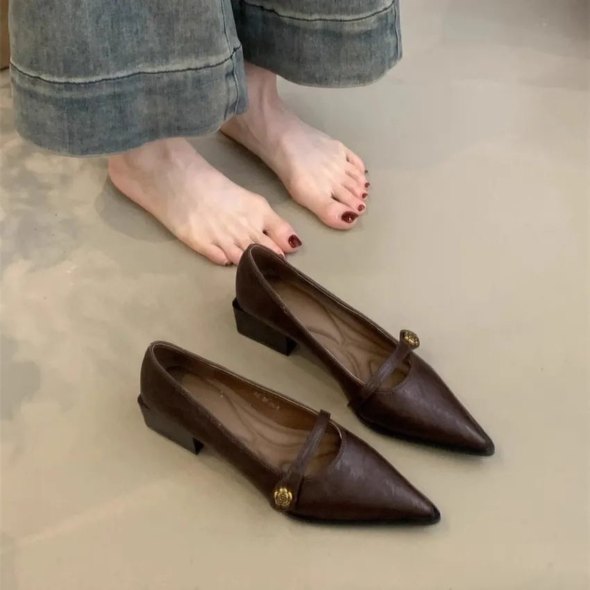 2025新款春季山茶花百搭尖头浅口高跟通勤鞋法式黑色粗跟玛丽珍鞋