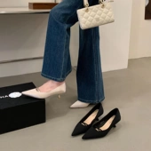 浅口小众设计浅口中跟鞋 法式 新款 女2026春夏季 女 尖头气质细跟单鞋