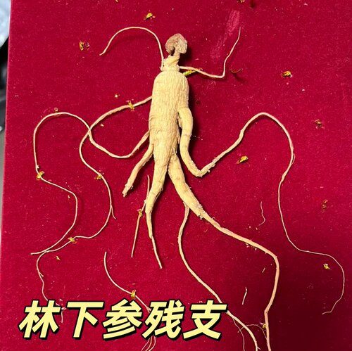 高年头林下参残支产地平价直销
