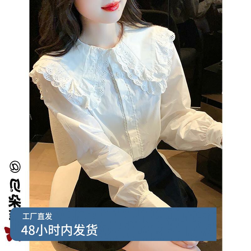 娃娃领白色衬衫女设计感小众内搭打底衫长袖雪纺上衣秋装2024新款