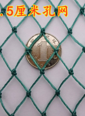 户外加粗养殖网防鸟网养鸡网养鸟小孔两指鸽子鸡苗尼龙绿色软网