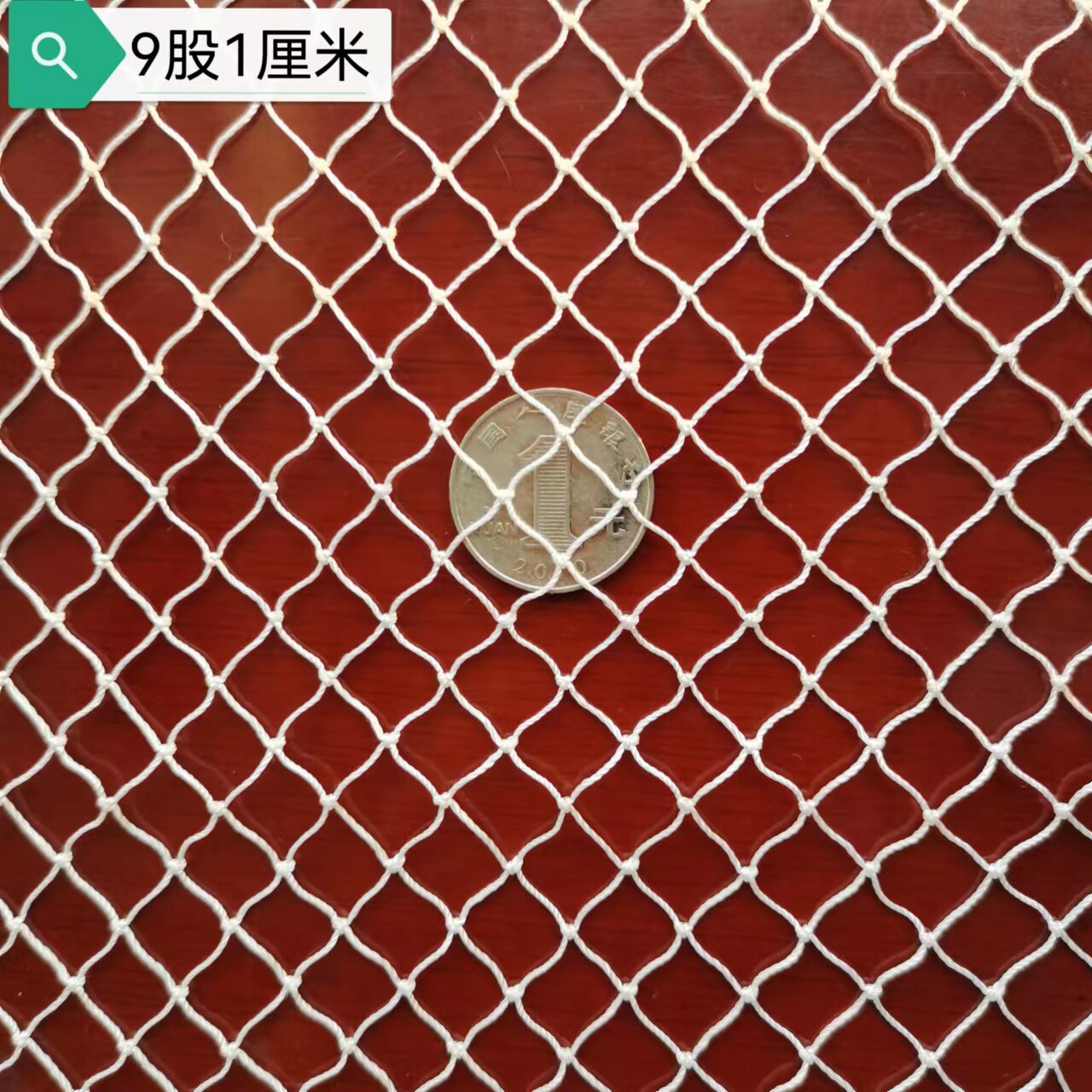 全新抗老化白色尼龙网江苏沭渔图片