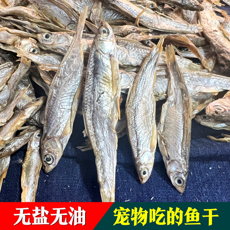 猫零食小鱼干淡水无盐晒干鱼干500g小狗磨牙宠物补钙猫粮龟食,水产肉类/新鲜蔬果/熟食,鱼干,淘宝优惠券,粉丝福利购,淘宝优惠卷