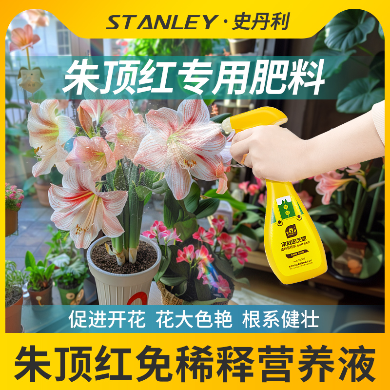 朱顶红专用肥花开满盆