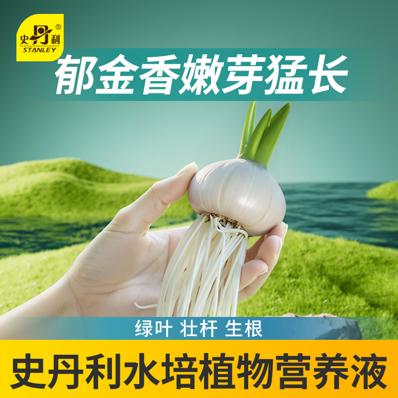 史丹利水培植物营养液郁金香