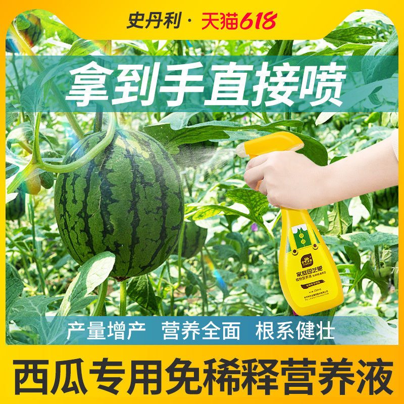 史丹利西瓜专用肥料免稀释营养液家用盆栽水溶肥果树绿植物通用型