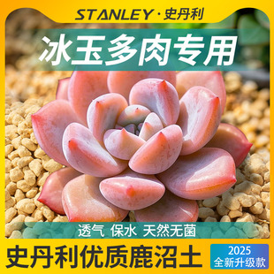 史丹利冰玉多肉进口鹿沼土颗粒杜鹃月季 兰花硬质多肉专用土整包
