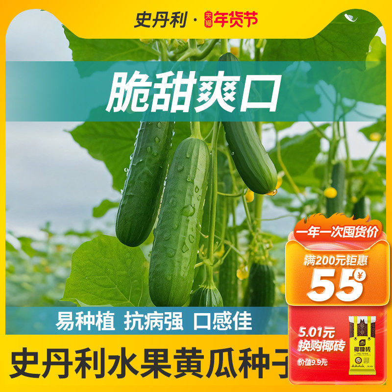 史丹利黄瓜种籽水果黄瓜种子老品种大全四季蔬菜本地盆栽高产种孑,鲜花速递/花卉仿真/绿植园艺,家庭园艺种子,淘宝优惠券,粉丝福利购,淘宝优惠卷
