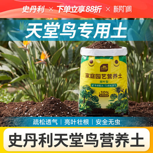 史丹利观叶植物营养土