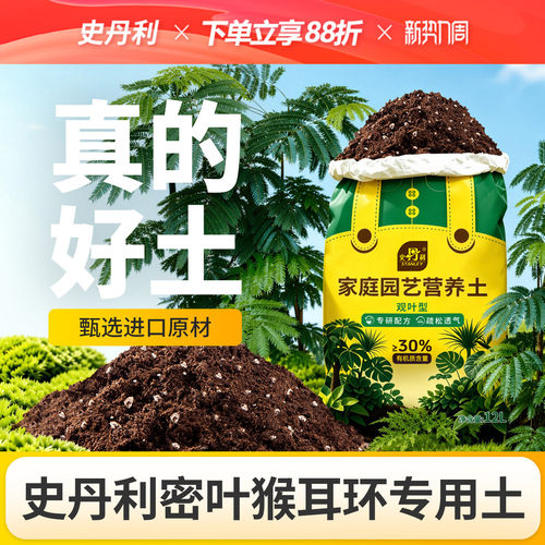 史丹利观叶植物营养土