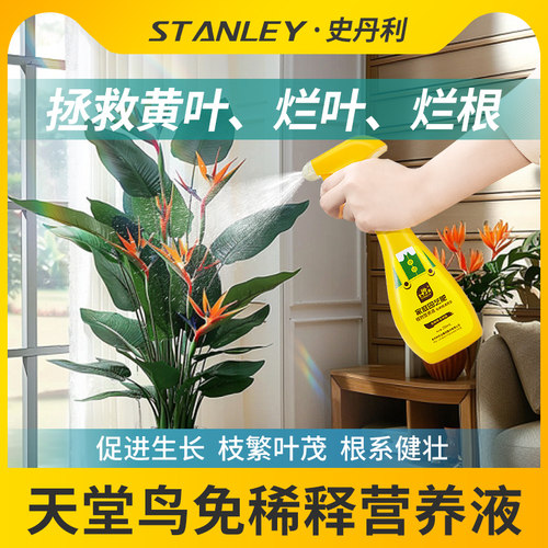 天堂鸟专用肥专治卷边黄叶