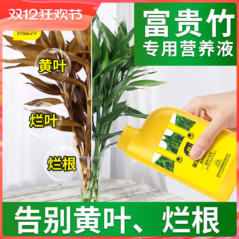 史丹利富贵竹营养液治黄叶促生根