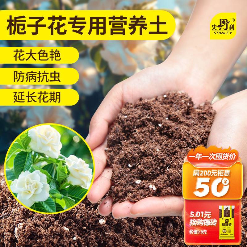 栀子花专用土花大色艳防治黄叶