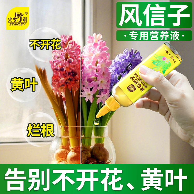 史丹利风信子水培营养液水养植物专用肥种球生根开花水培花卉花肥图片